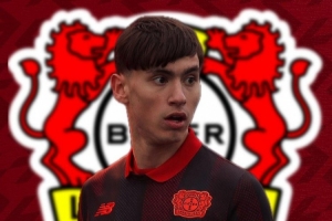 记者:略高于600万到700万欧,药厂敲定17岁天才前锋达米亚诺维奇