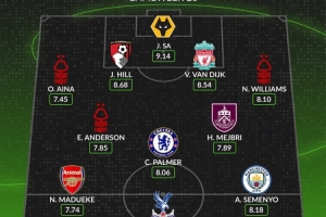 whoscored本轮英超最佳阵：范戴克领衔，塞梅尼奥、帕尔默在列