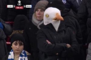 今日趣图：特伦特梦回利物浦阿诺德，这就是德转身价7000万含金量