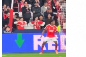 费迪南德转发本菲卡小球迷种族歧视动作：‍♂️