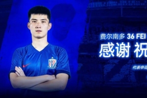 中乙金靴！德转显示费尔南多约100万元从申花转会云南玉昆