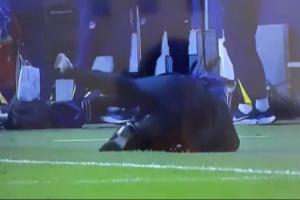 胆子这么大？瑟尔洛特破门后，略伦特直接把西蒙尼推翻在地