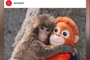 赫伊森转发的动态：西班牙队表达对小猴子Punch的关爱