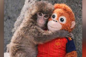 个人社媒仍未道歉！赫伊森更新社媒，照常转发西班牙国家队内容