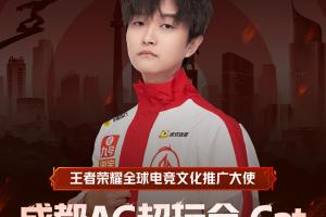 Cat发文退役：很开心十年青春在赛场拼搏，下一个十年赛场见