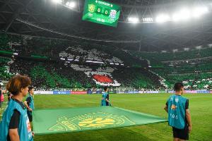 关注度高!京媒:明日京沪大战工体预计迎来5.5万名观众