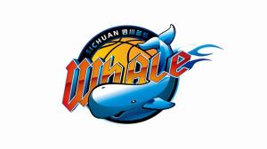 不会被零封吧！四川单赛季29连败 打破CBA和NBA历史纪录